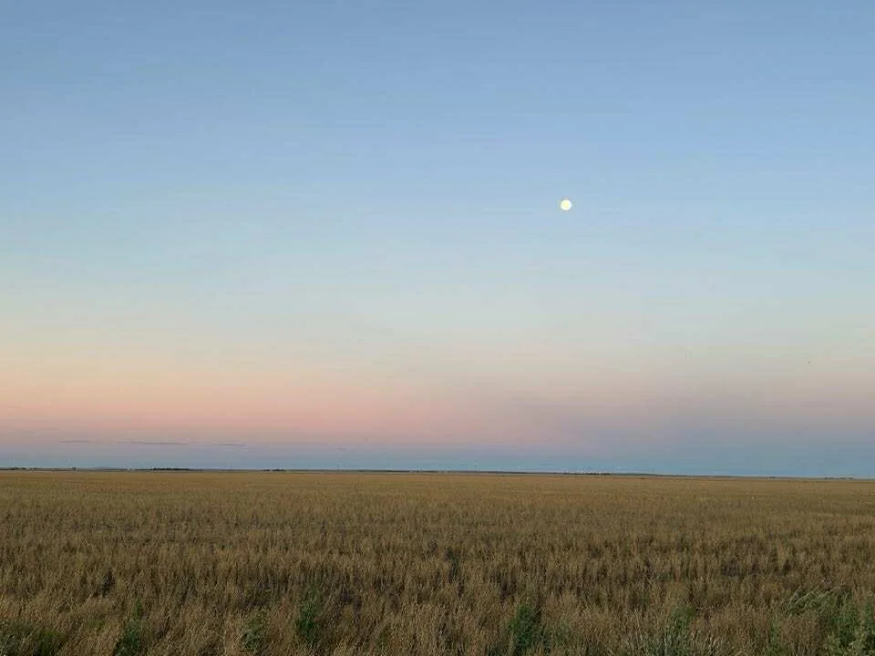 Additional image 14 of 2094 West Prairie Road, West Prairie QLD 4403