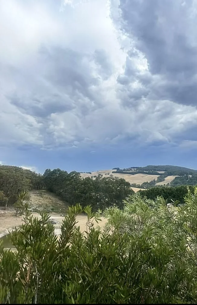 Additional image 14 of 113 Donelan Dr, Hernes Oak VIC 3825