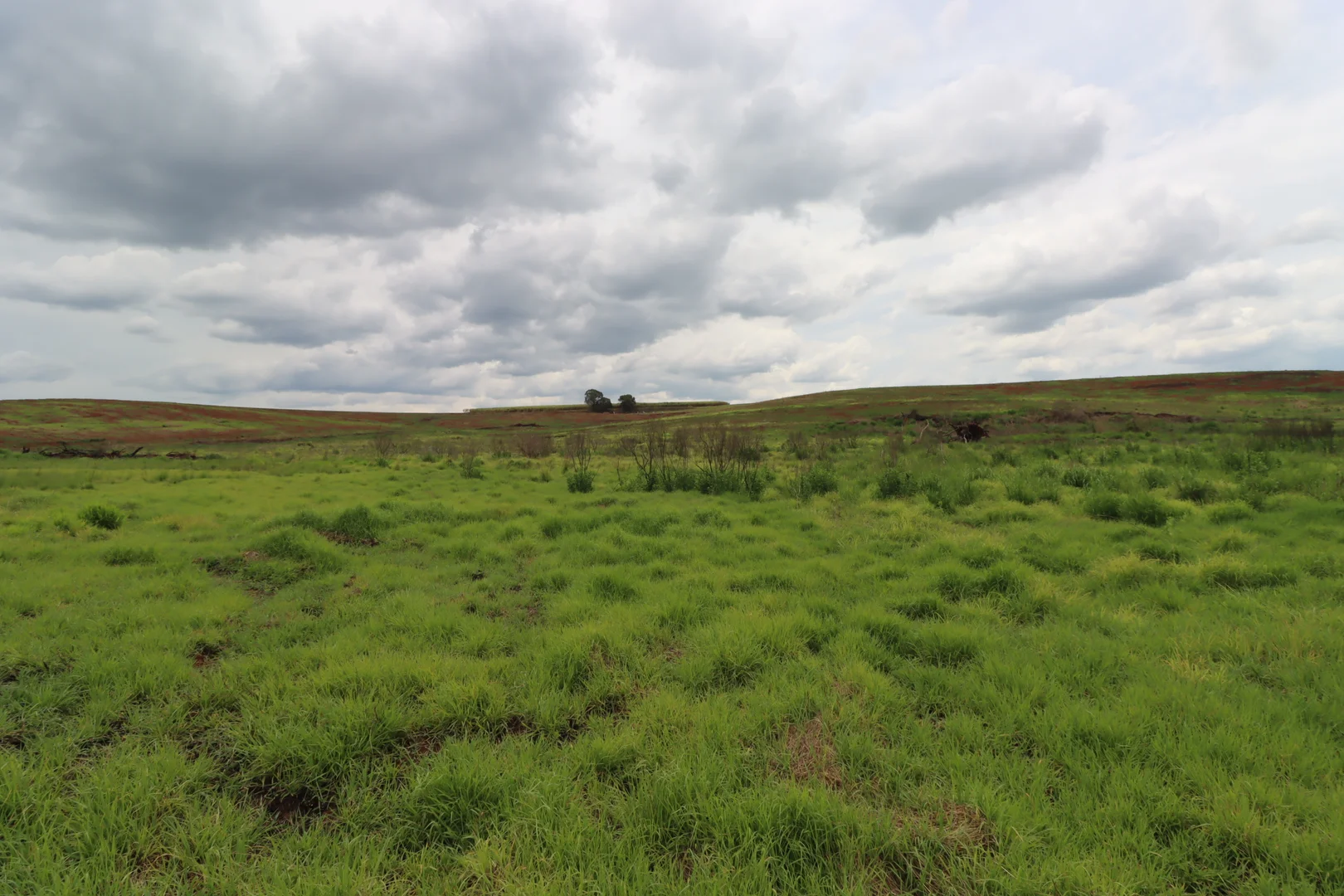 Additional image 11 of 532 Lynwood Road, North Isis QLD 4660