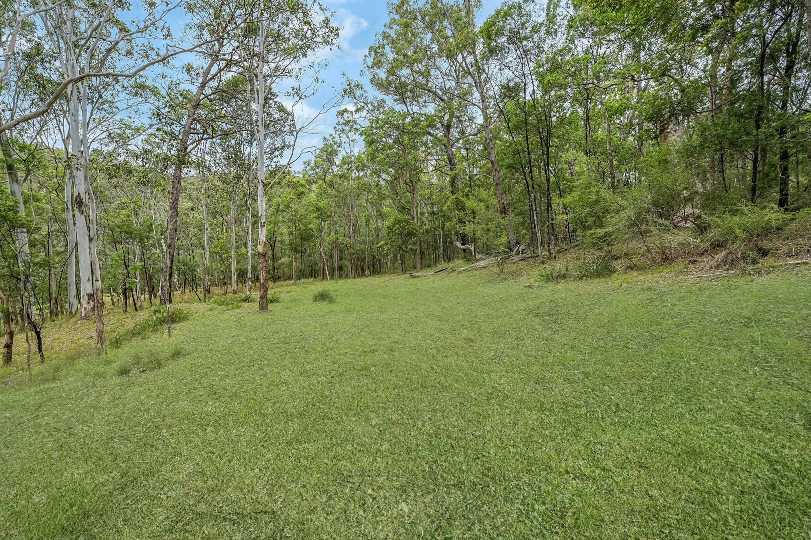 Additional image 2 of 95 Rosenthal Lane, Sun Valley NSW 2777