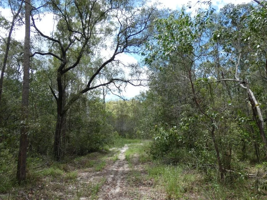 Additional image 23 of Lot 41 Moolyung Road, Waterloo QLD 4673