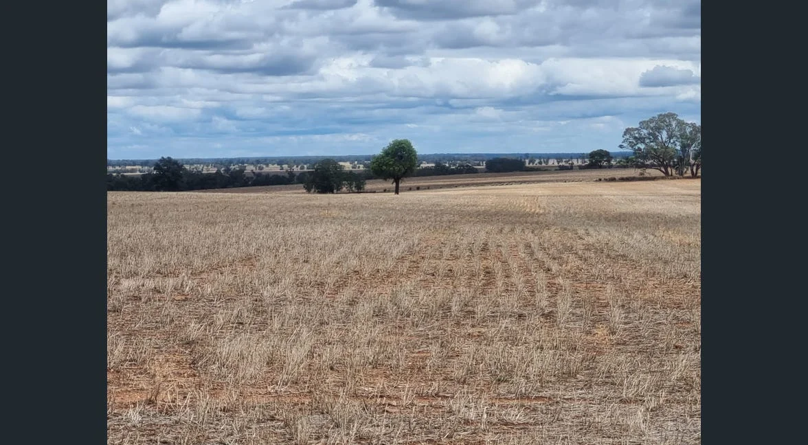 Additional image 28 of Tooraweenah NSW 2817