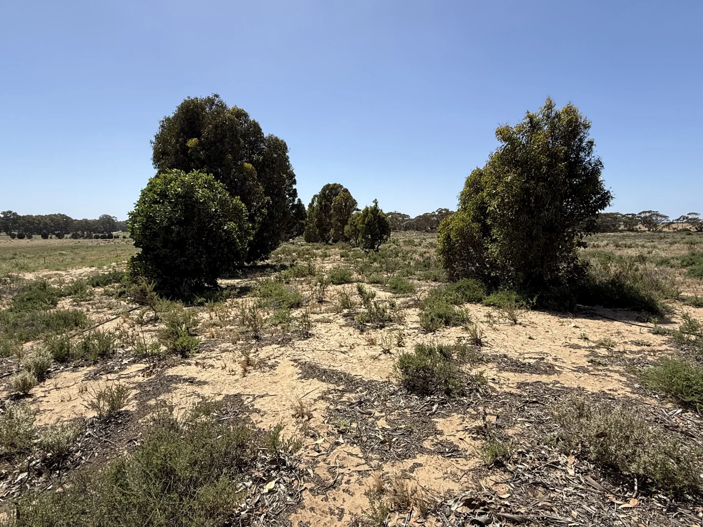 Additional image 13 of 390 Black Hill Road, Cambrai SA 5353