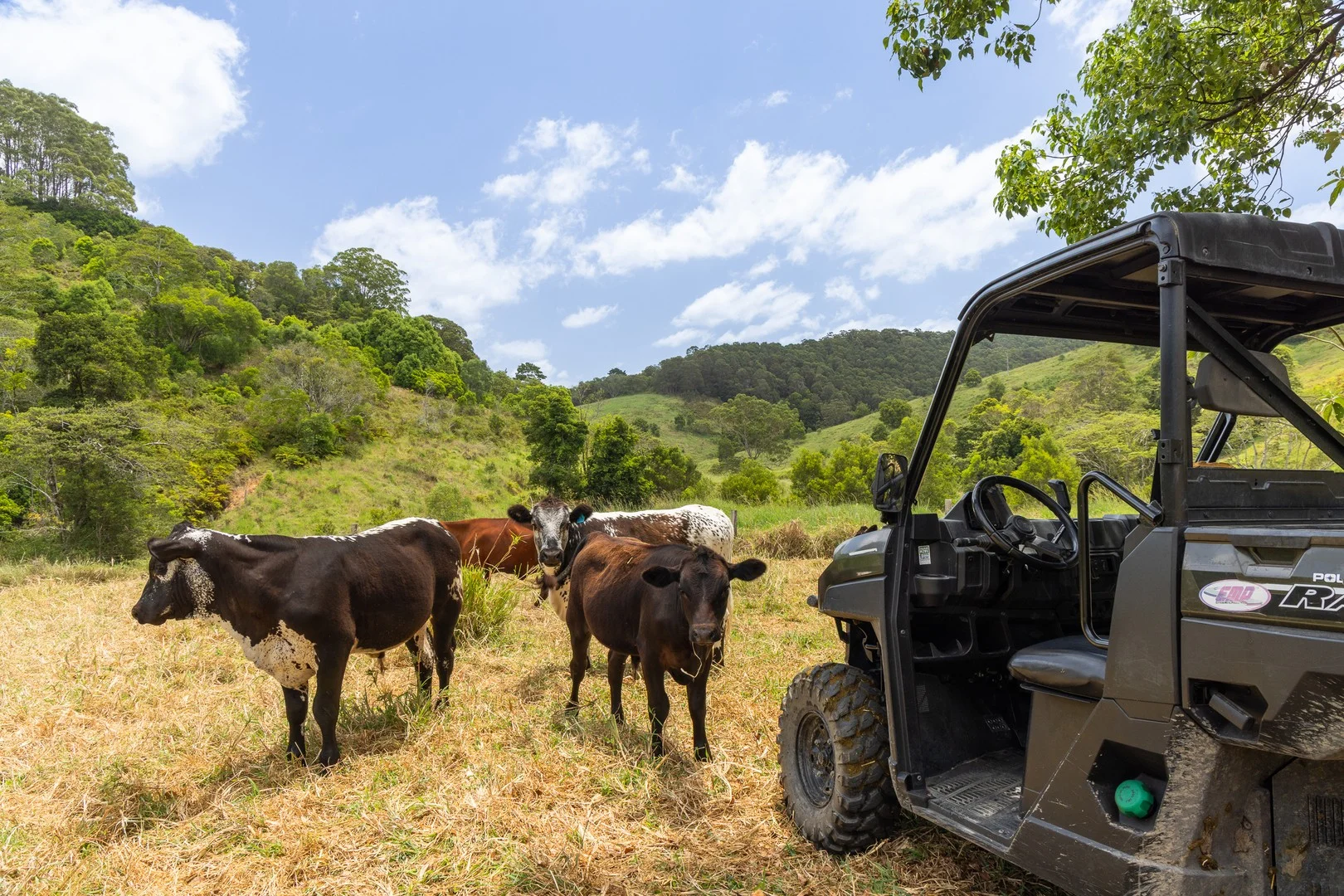 Additional image 14 of Cootharaba QLD 4565