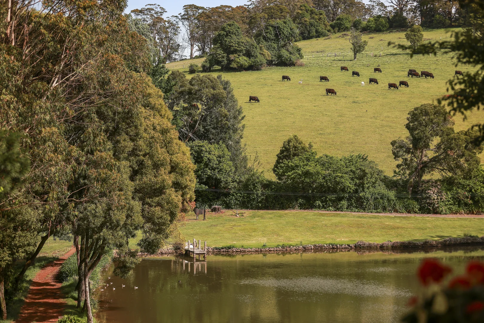 Additional image 17 of 561 Myra Vale Road, Wildes Meadow NSW 2577