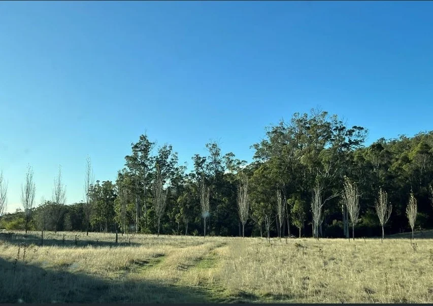 Additional image 25 of 2204 East Tamar Highway, Mount Direction TAS 7252