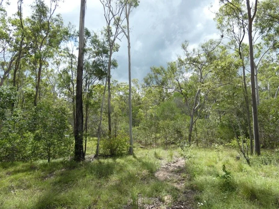 Additional image 10 of 397 Mollenhagens Road, Rosedale QLD 4674