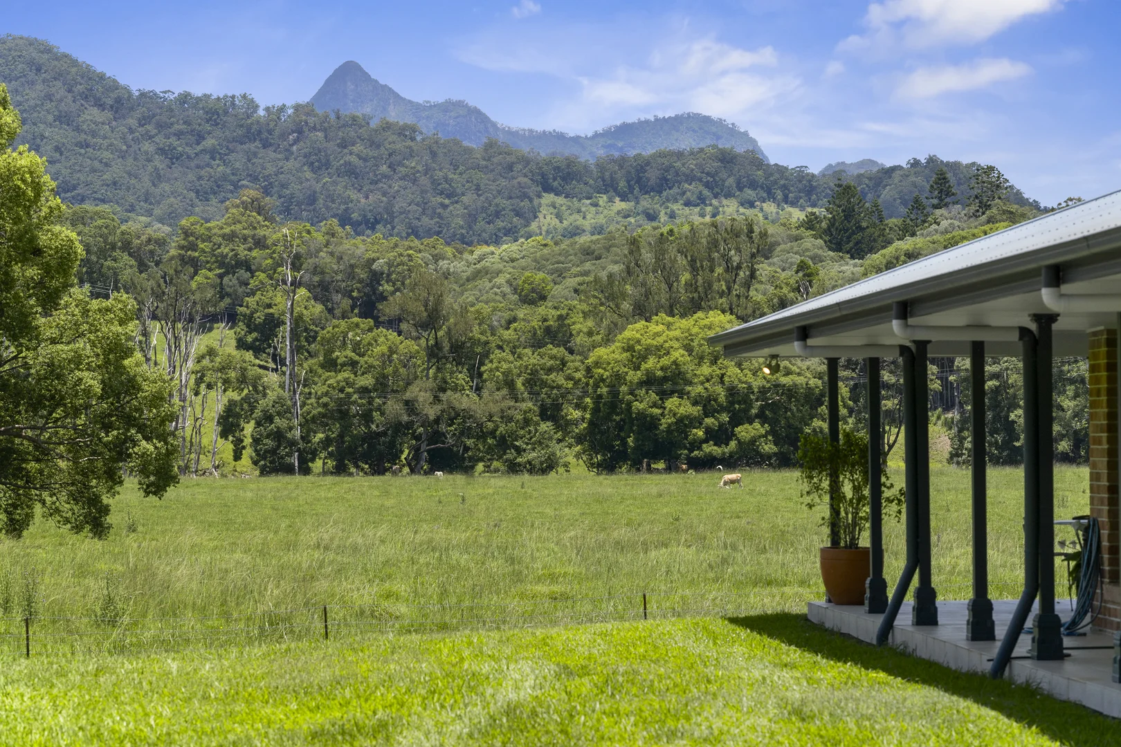 Additional image 14 of 981 Numinbah Road, Crystal Creek NSW 2484