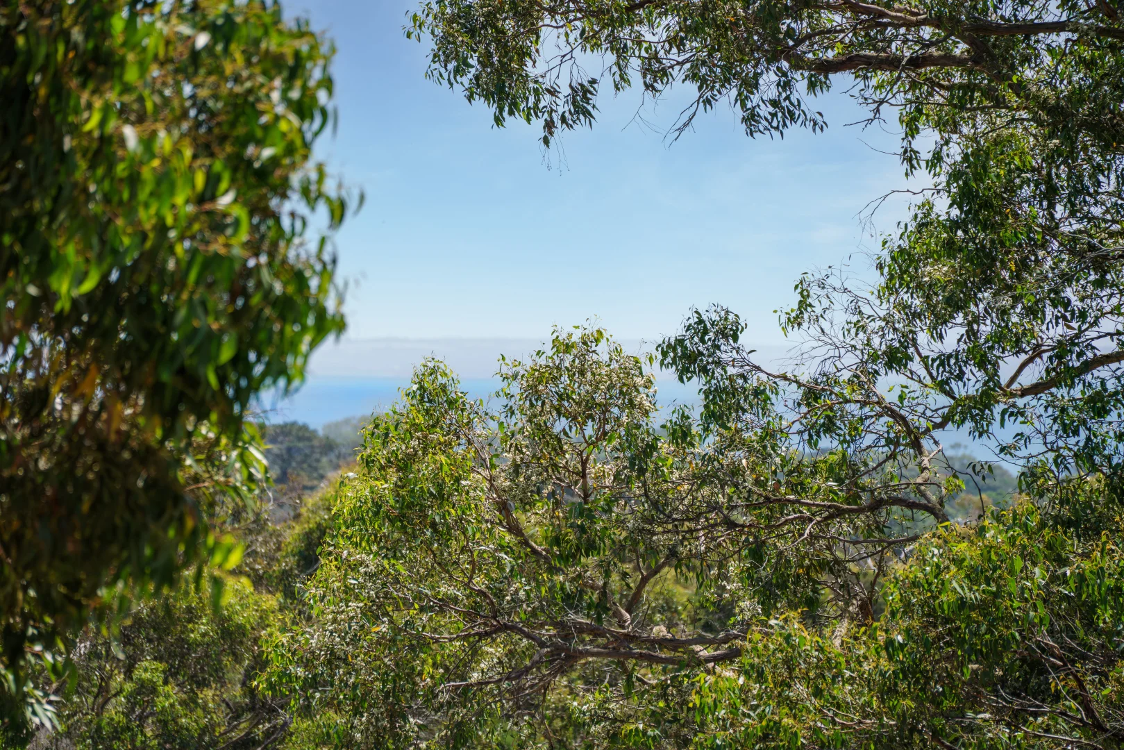 Additional image 11 of 13 Seabrook Avenue, Rosebud VIC 3939