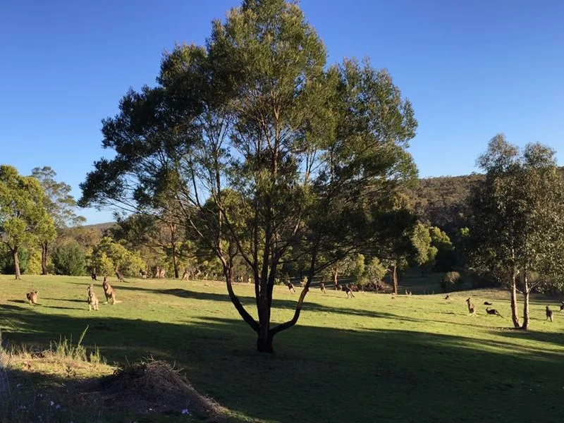 Additional image 18 of 58 Neville Lane, Napoleons VIC 3352