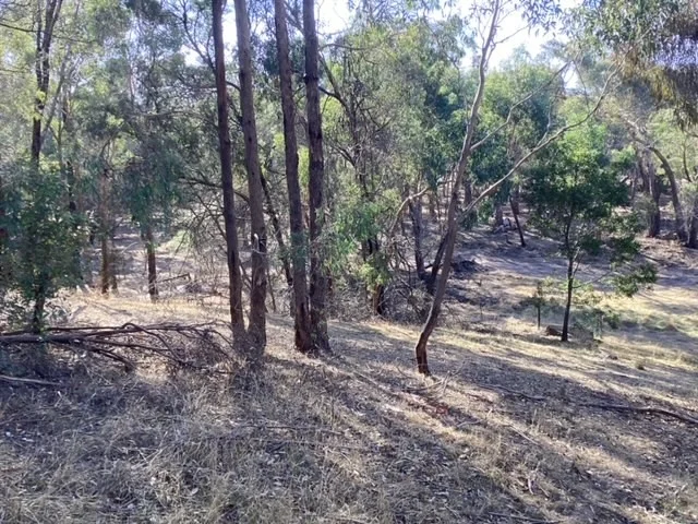 Additional image 11 of Lot 25 (26 Hewitts Road, Linton VIC 3360