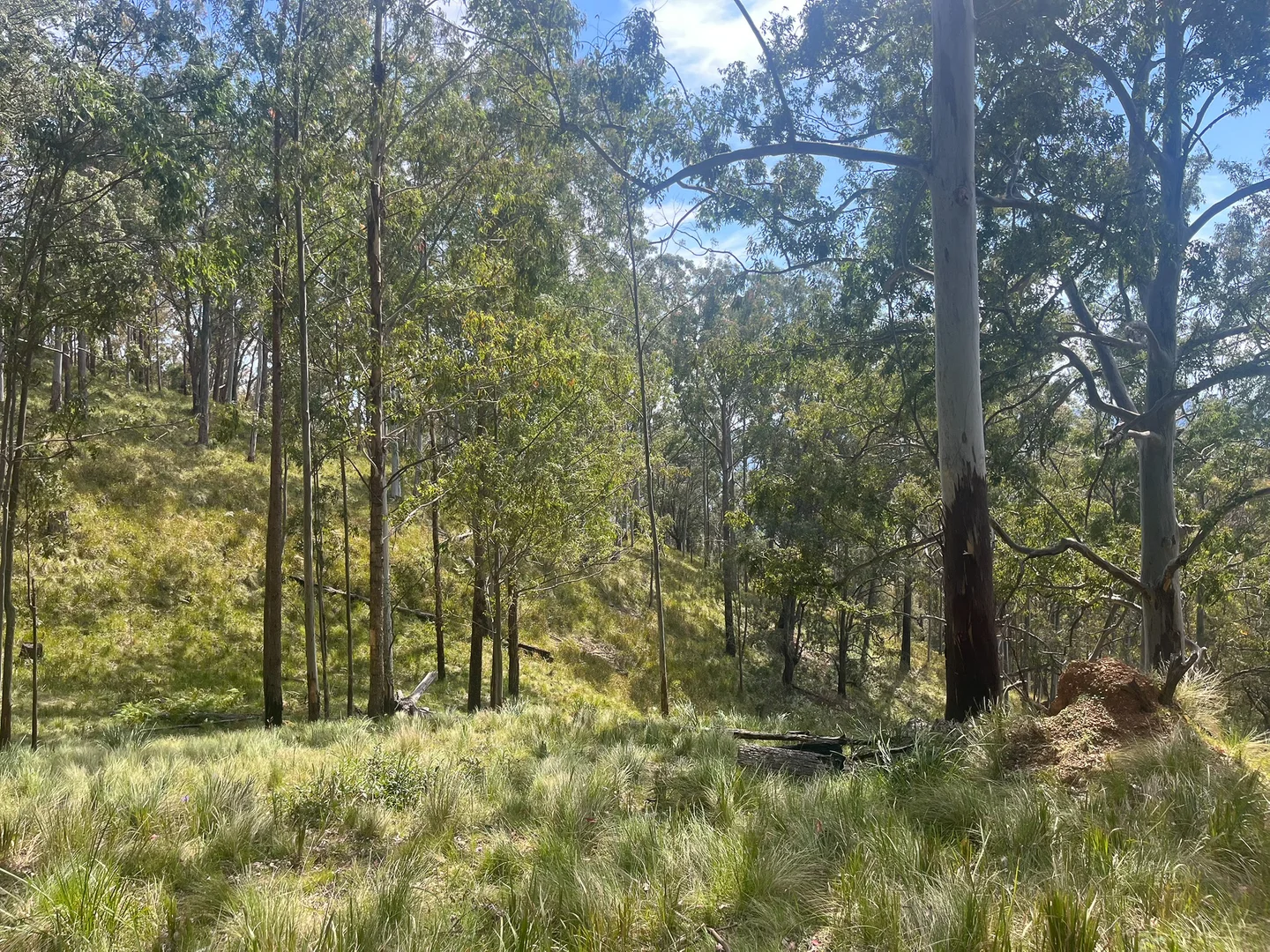 Additional image 16 of 638 Tops Road, Nowendoc NSW 2354