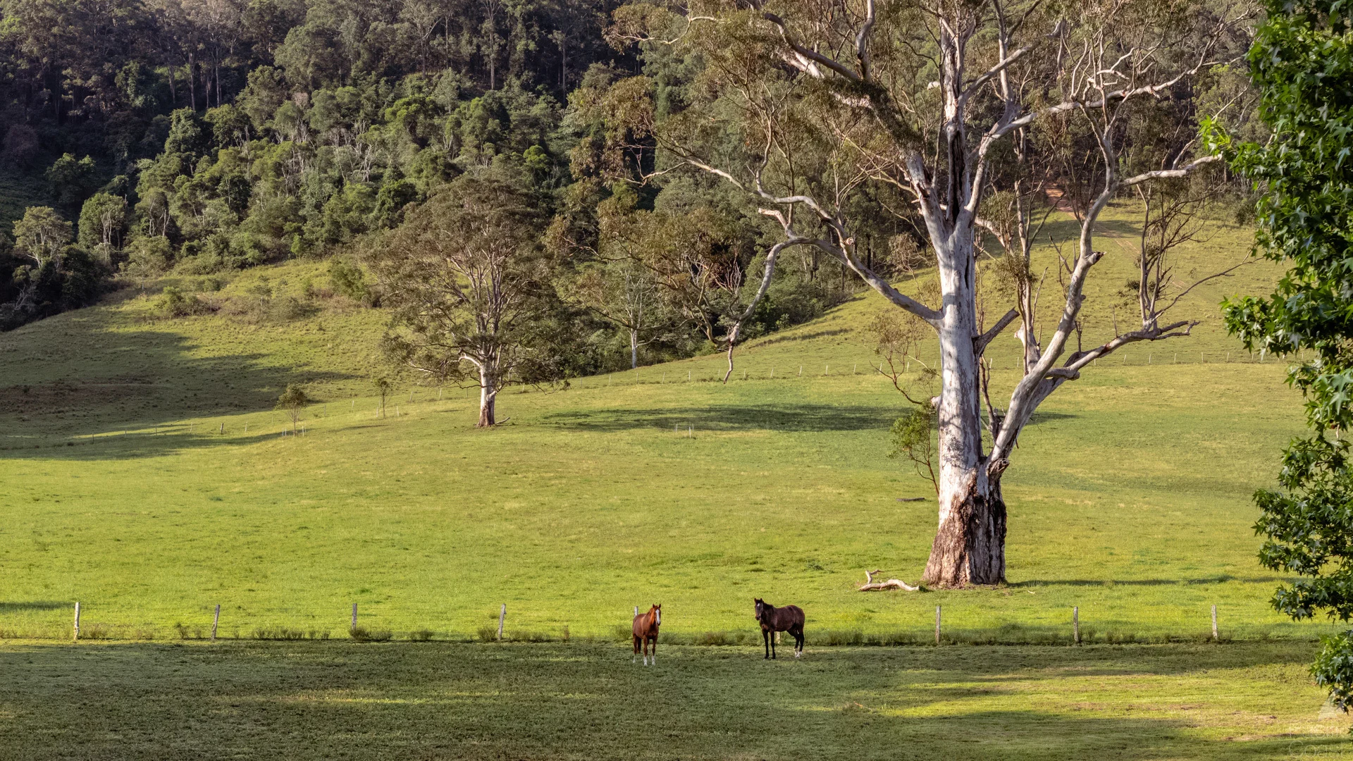 Additional image 25 of 34 Glacier Lane, Nabiac NSW 2312