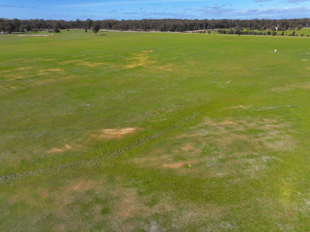 Additional image 11 of - Arnold West-Inglewood Road, Inglewood VIC 3517