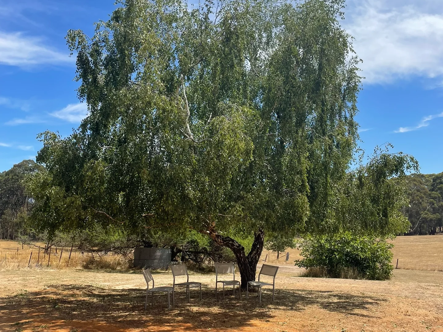 Additional image 19 of Strathbogie VIC 3666