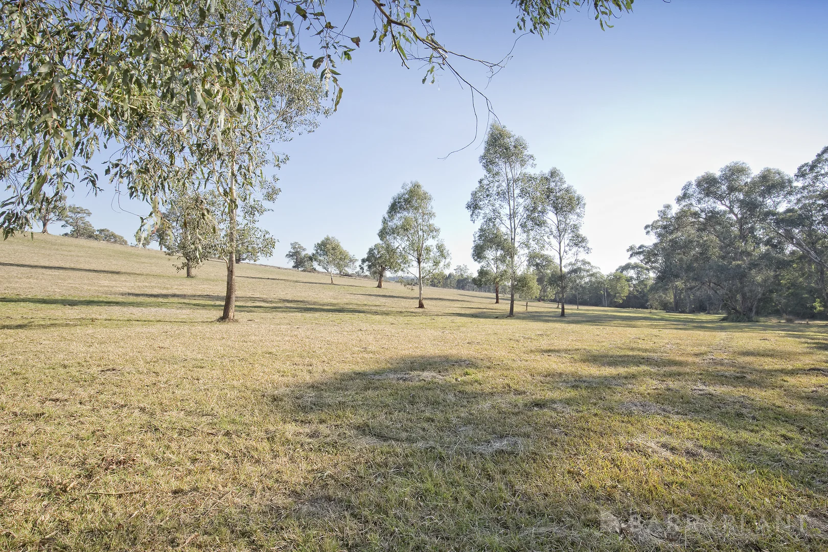 Additional image 28 of 450 Sheepstation Creek Road, Yellingbo VIC 3139