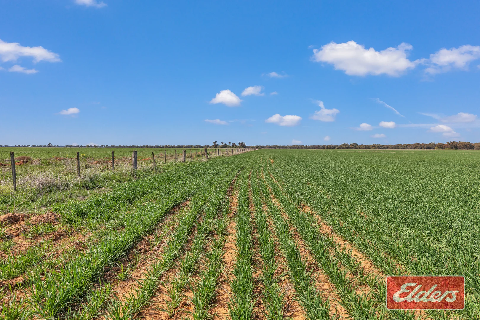 Additional image 7 of Graham Road, Koyuga VIC 3622