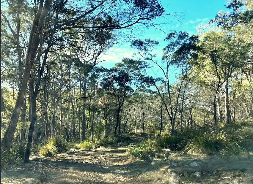 Additional image 10 of 2204 East Tamar Highway, Mount Direction TAS 7252