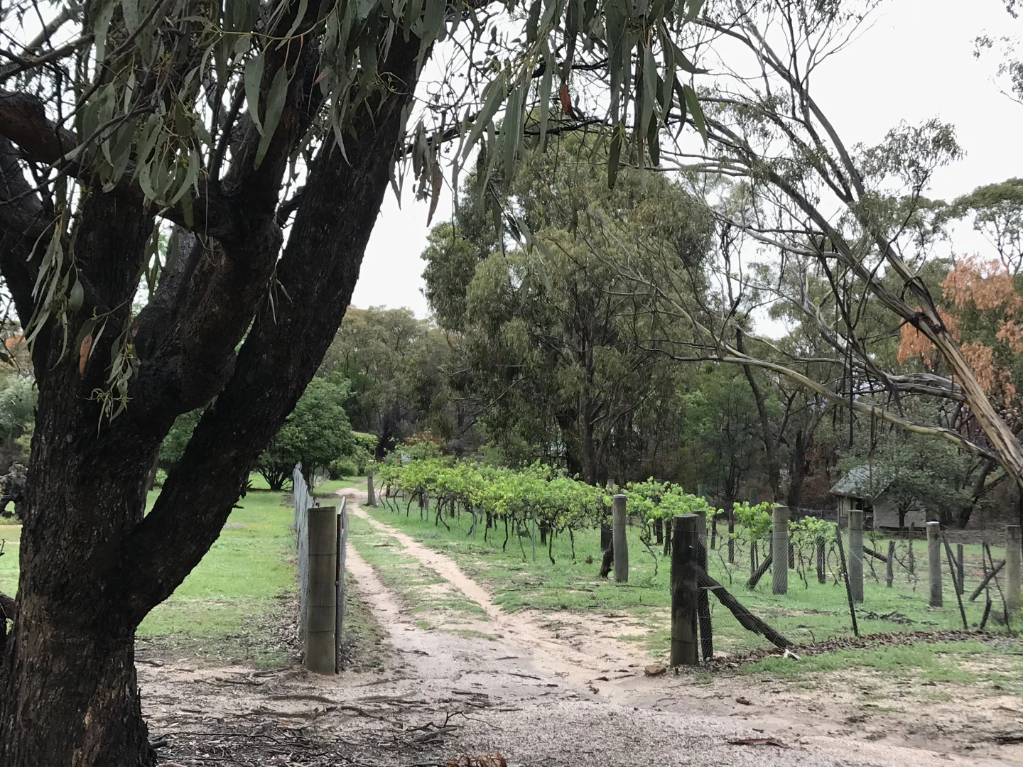 Additional image 21 of Mount Rankin NSW 2795