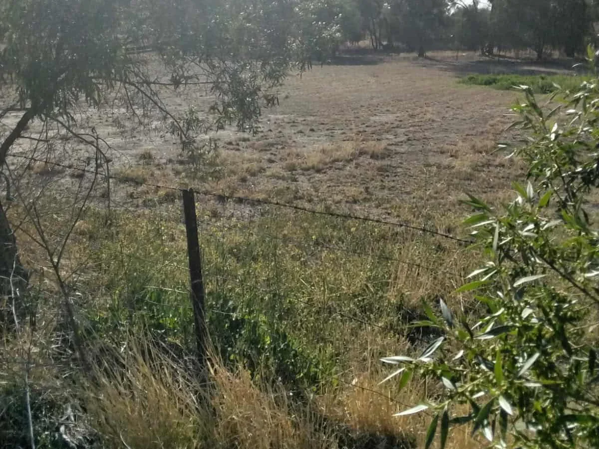 Additional image 4 of 3 Herbert Street, Collarenebri NSW 2833