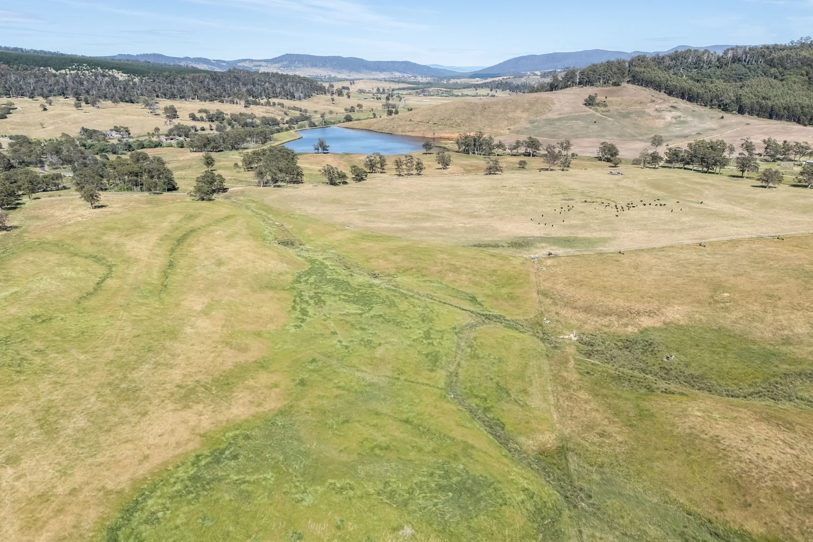 Additional image 35 of 3600 Blessington Road, Upper Blessington TAS 7212
