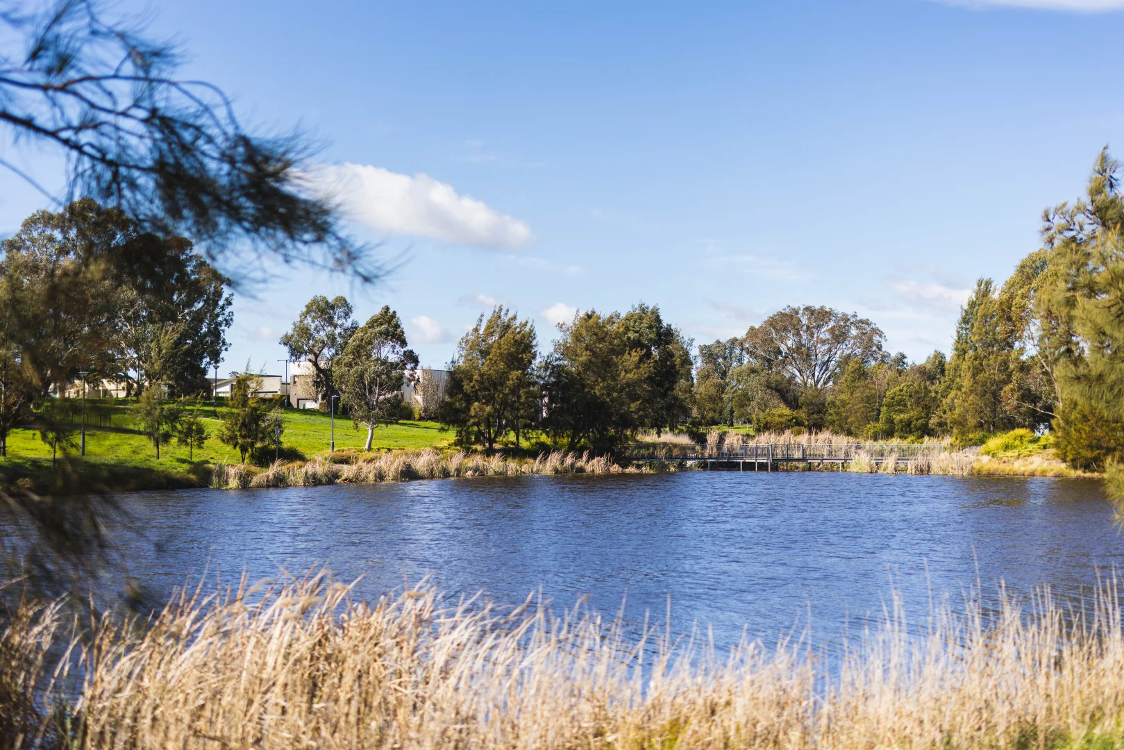 Additional image 19 of 1 Arndt Street, Forde ACT 2914