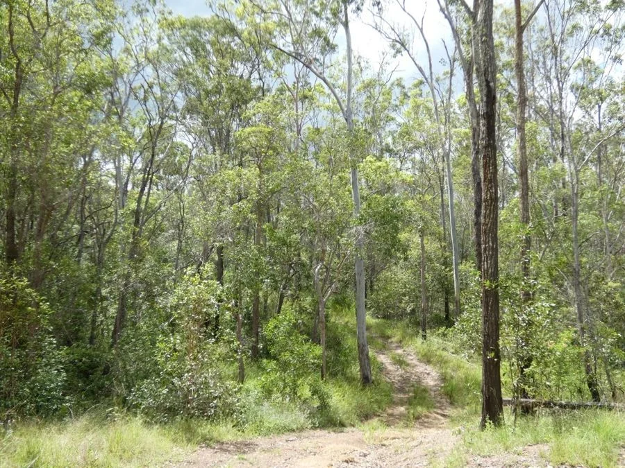 Additional image 11 of 397 Mollenhagens Road, Rosedale QLD 4674