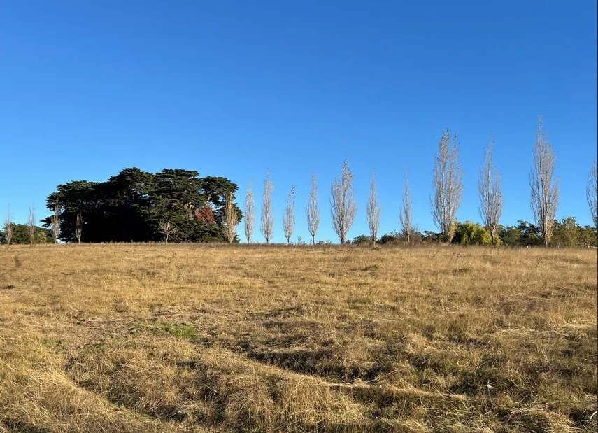 2204 East Tamar Highway, Mount Direction TAS 7252