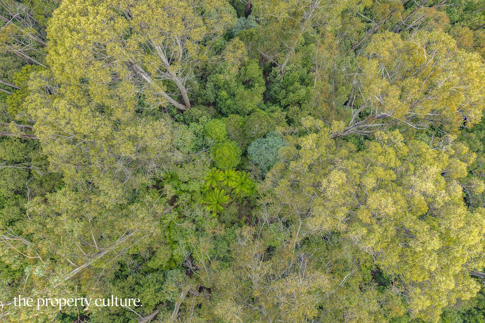 Additional image 18 of 2 Tobys Hill Rd, Cygnet TAS 7112