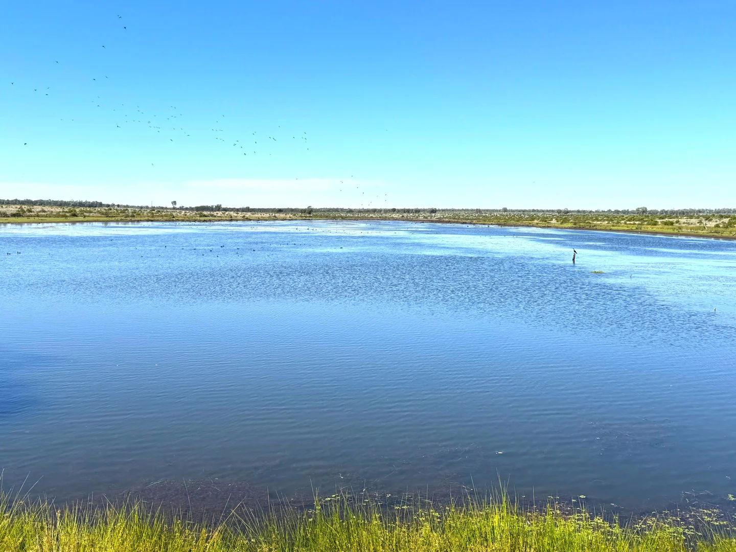 Additional image 3 of 1081 Tareela Access Road, Mungallala QLD 4467