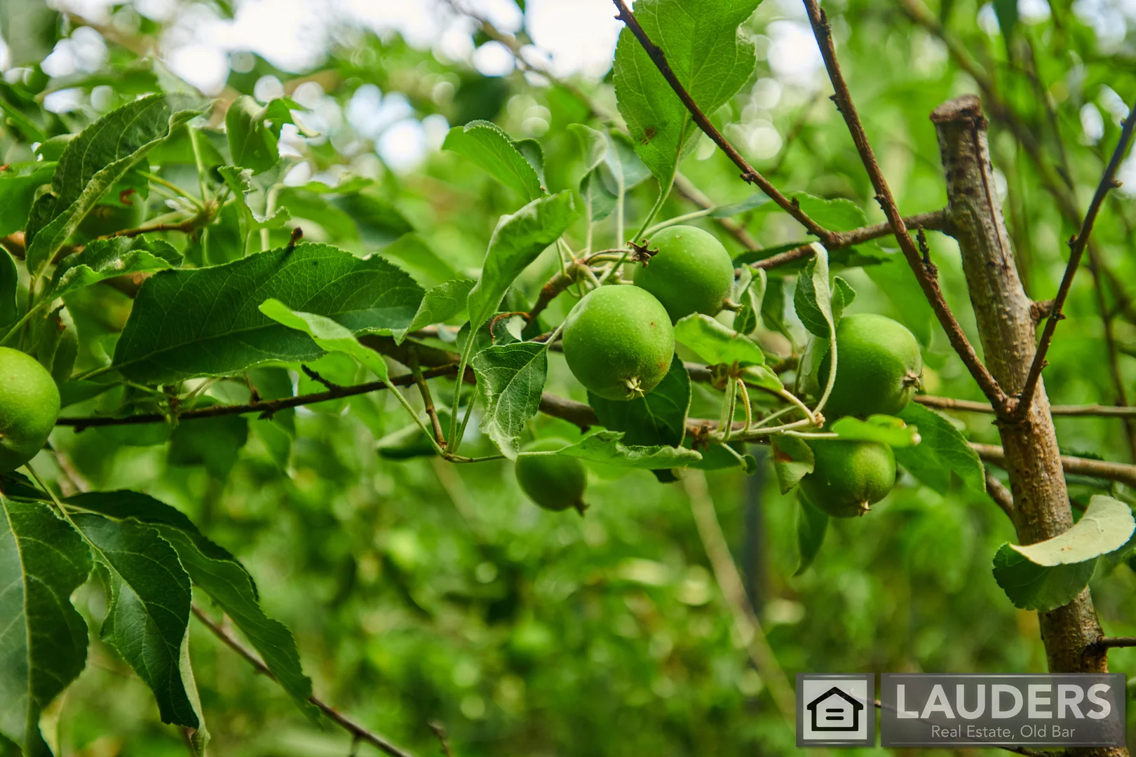 Additional image 28 of 2264 Bundook Road, Bundook NSW 2422