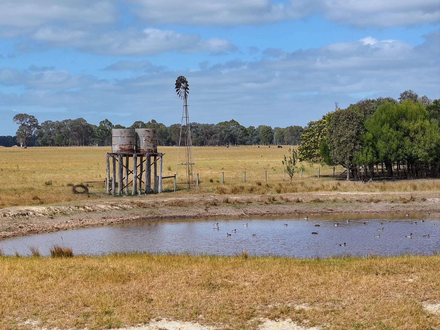 Additional image 30 of 480 Toongabbie Cowwarr Road, Cowwarr VIC 3857