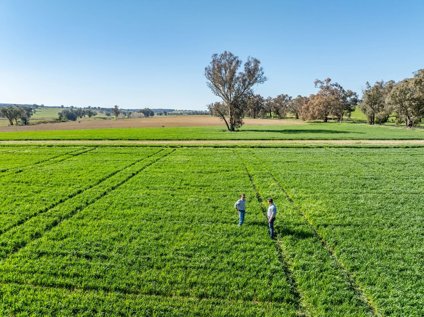Additional image 8 of Bumbaldry Road, Greenethorpe NSW 2809