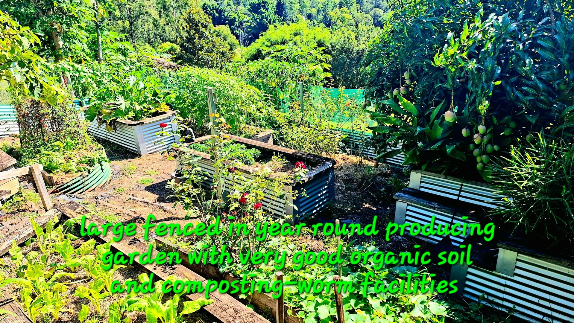 Additional image 20 of 32/265 Martin Road, Larnook NSW 2480