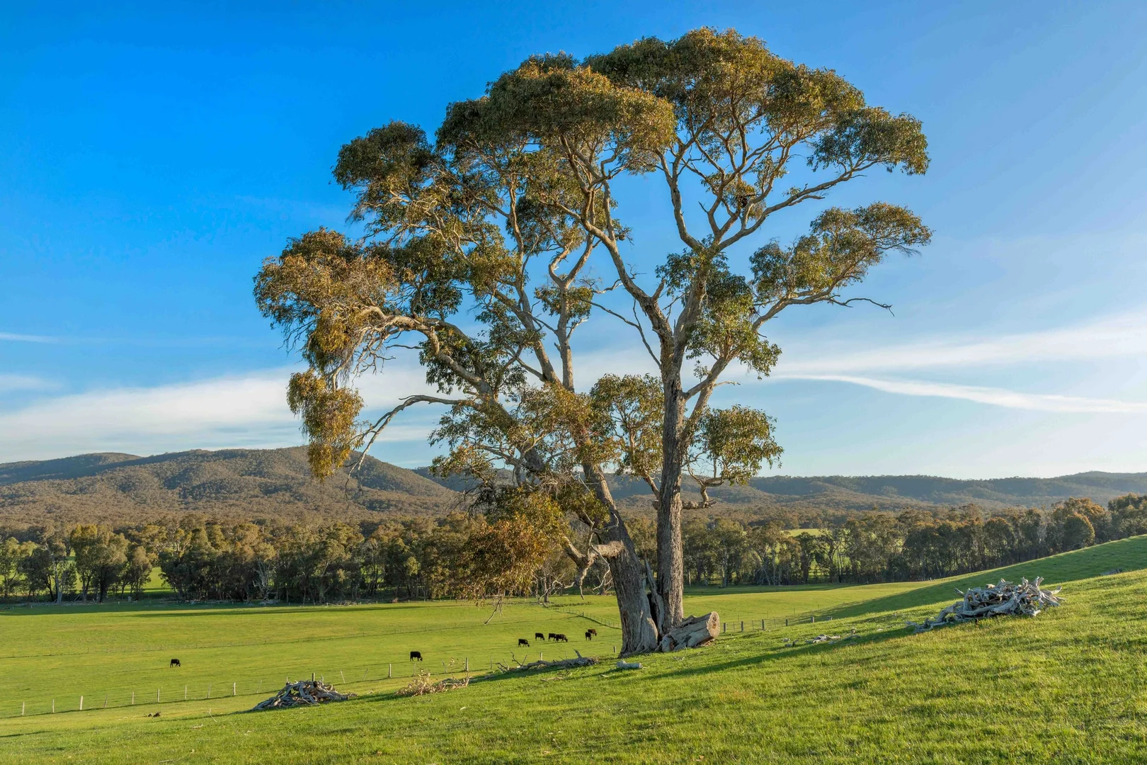 Additional image 19 of 44 Hardys Lane, Warrenmang VIC 3478