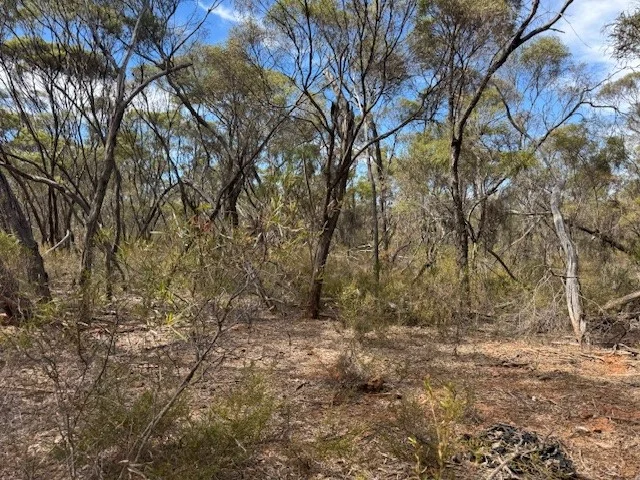 Additional image 5 of 2 Josephine Drive, Wedderburn VIC 3518
