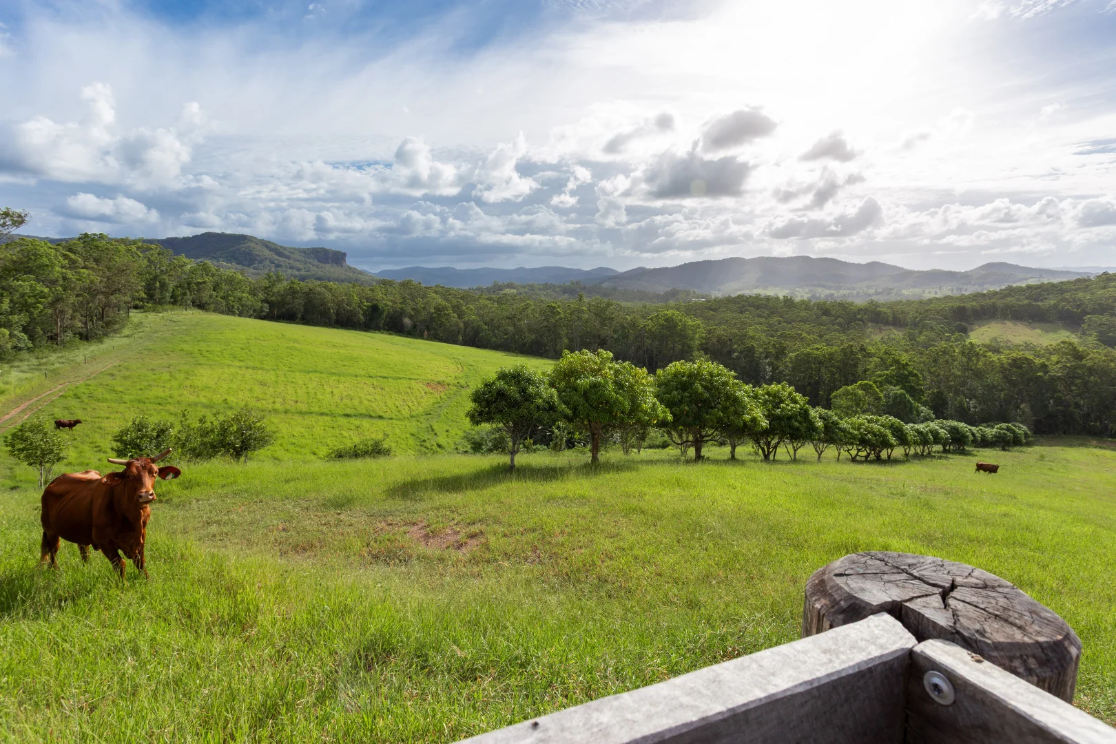 Additional image 28 of Lot 1 Lowe Road, Bollier QLD 4570