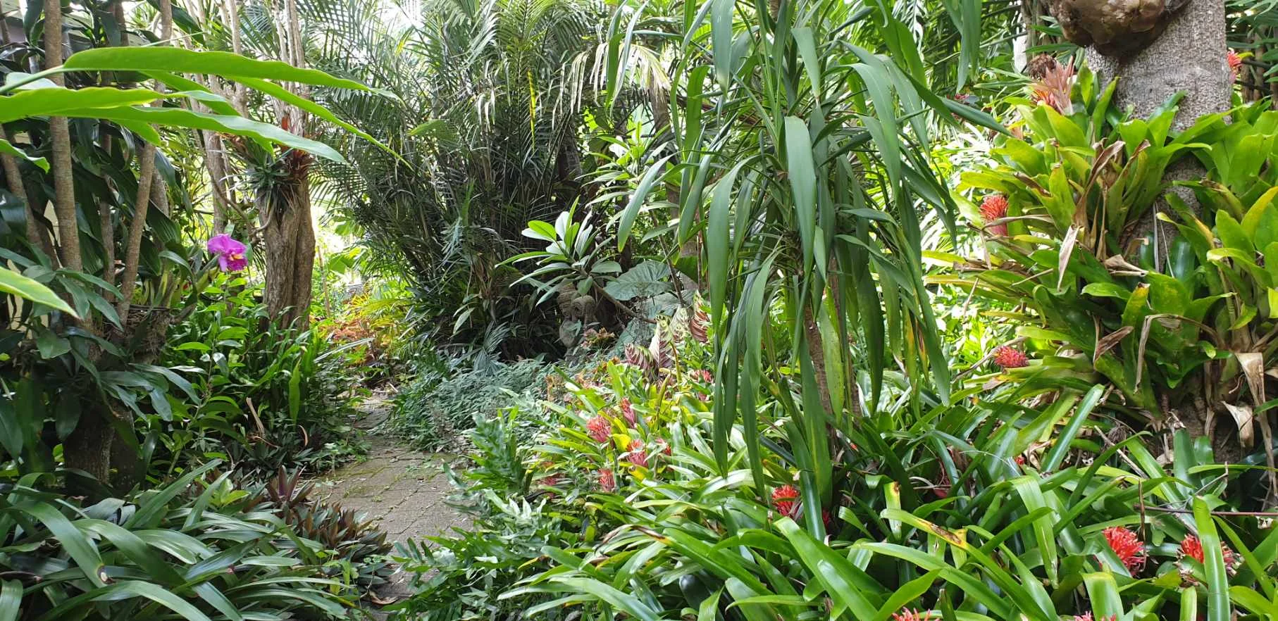 Additional image 13 of 78 Beaconsfield Road, Sandy Creek QLD 4515