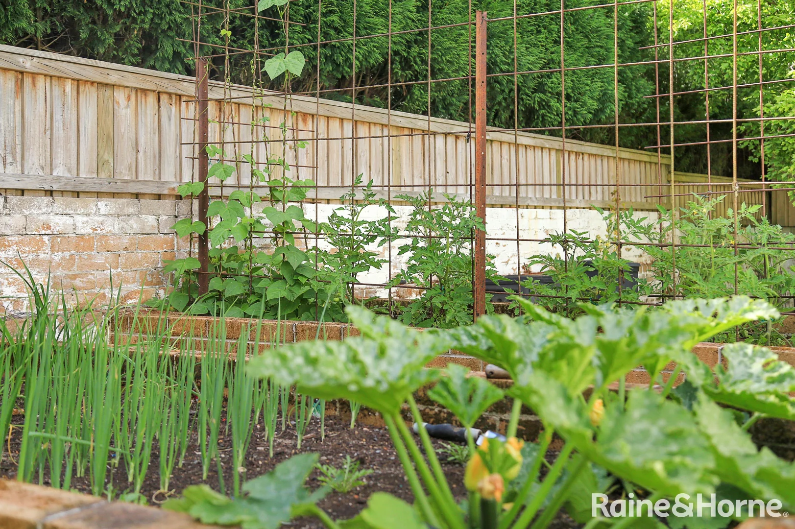 Additional image 14 of 50 Shepherd Street, Bowral NSW 2576