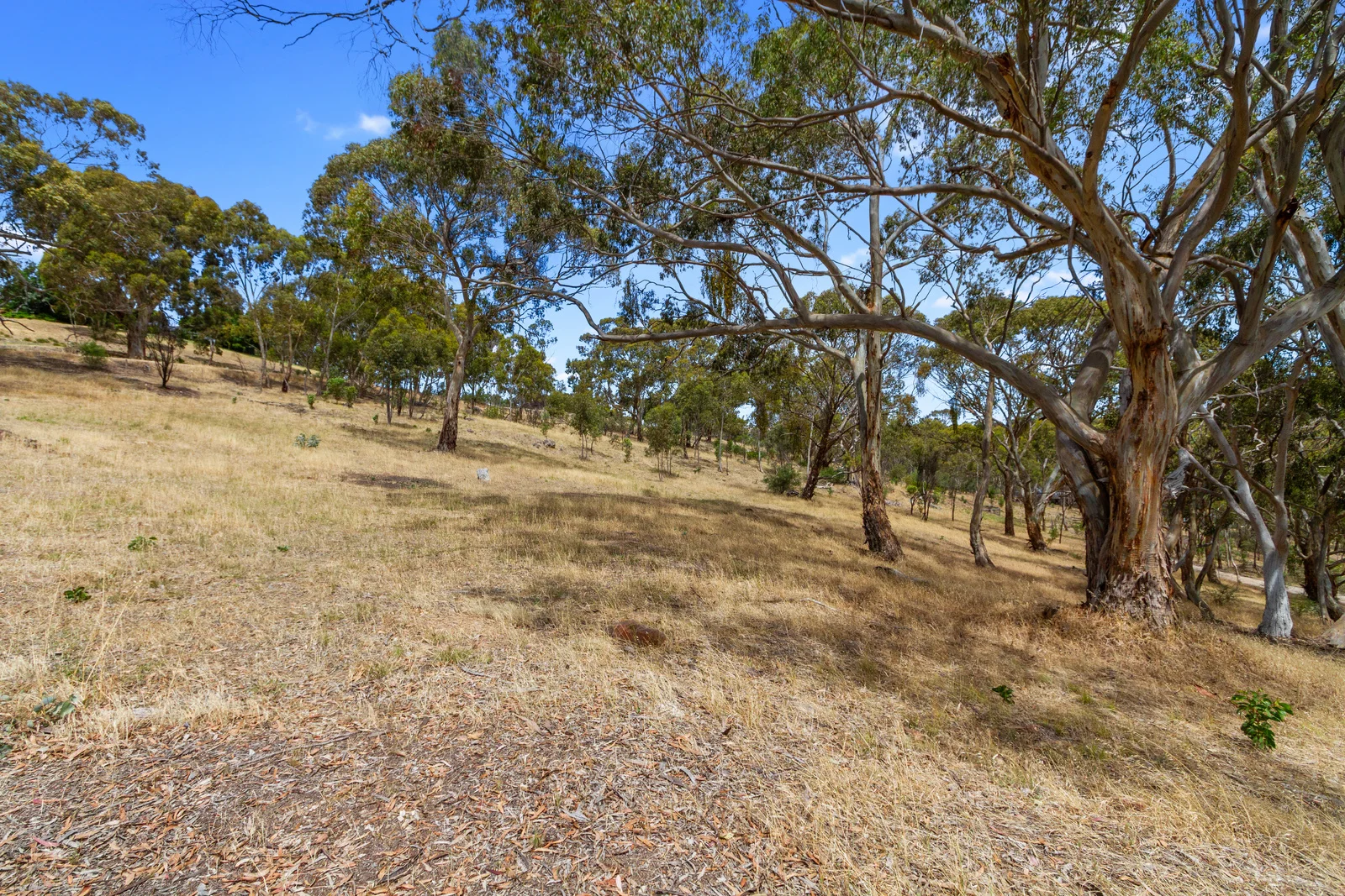 Additional image 12 of Lot 44 Norman Drive, Stanley Flat SA 5453