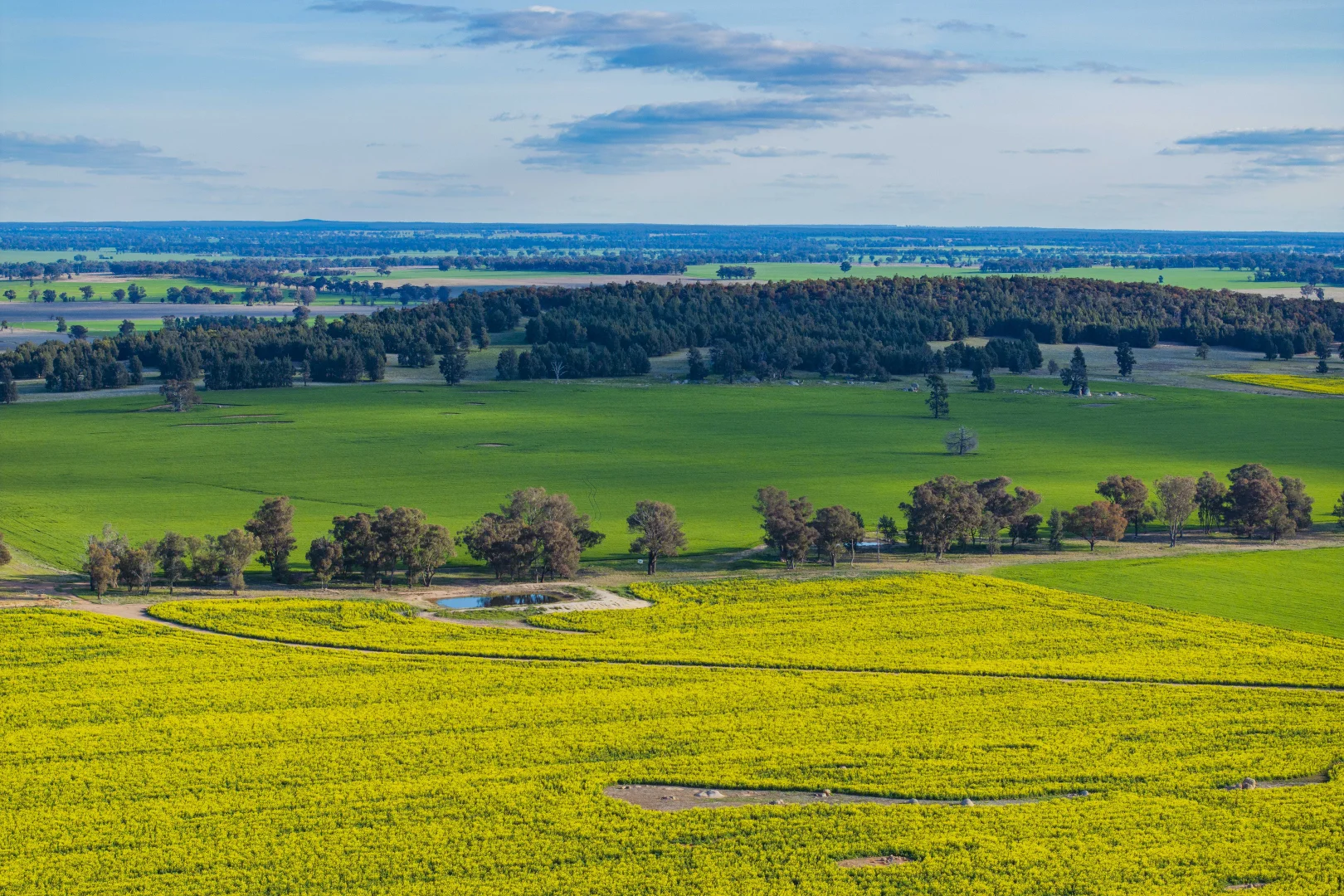 Additional image 7 of 1349 Trungley Hall Road, Temora NSW 2666