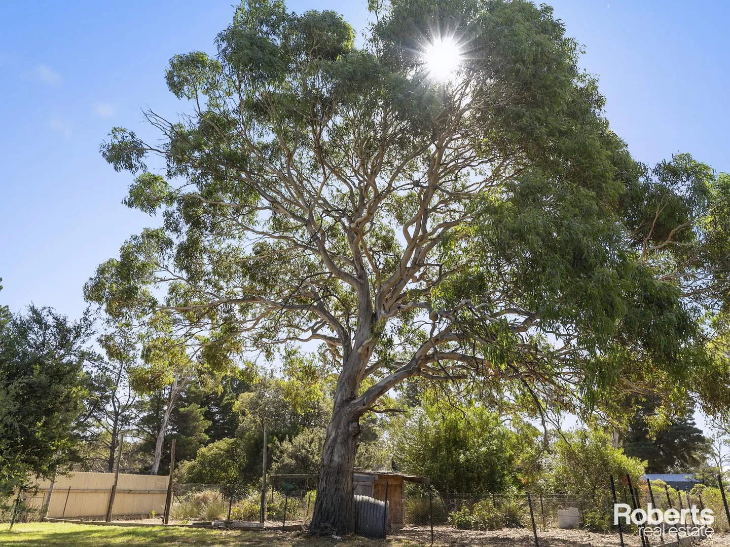 Additional image 8 of 95 Dolphin Sands Road, Dolphin Sands TAS 7190