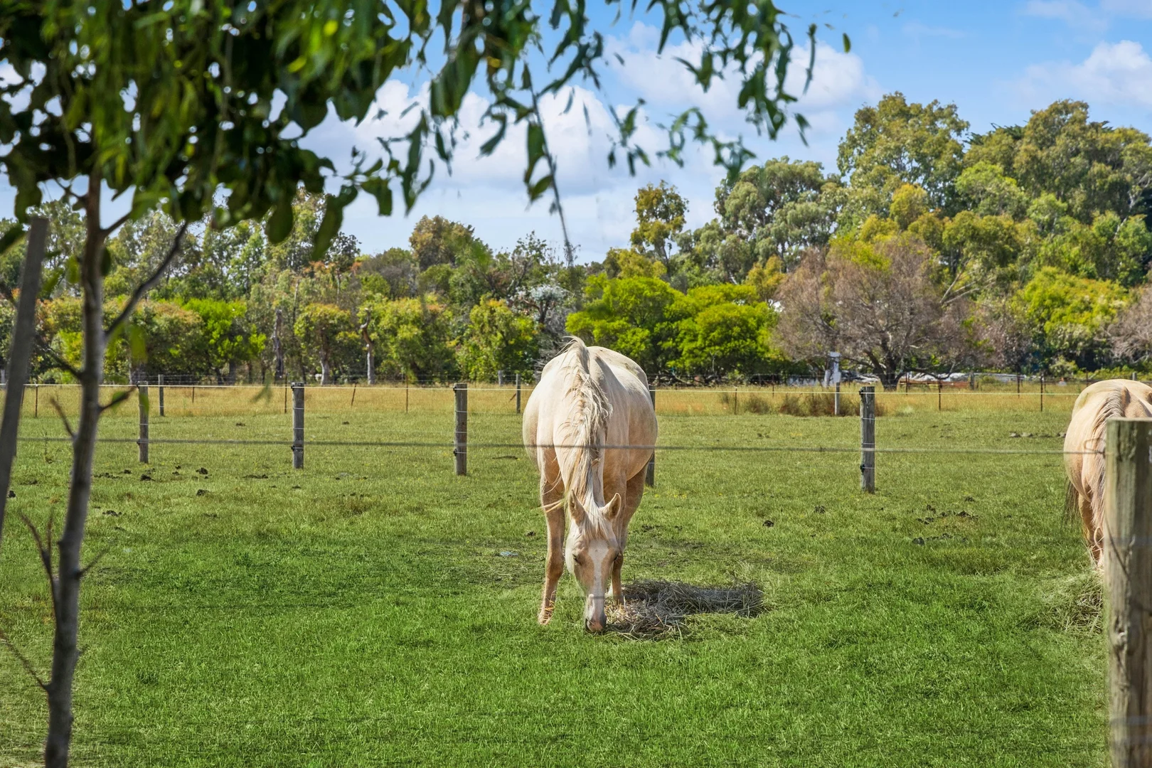 Additional image 18 of 212 Northumberland Road, Kyneton VIC 3444