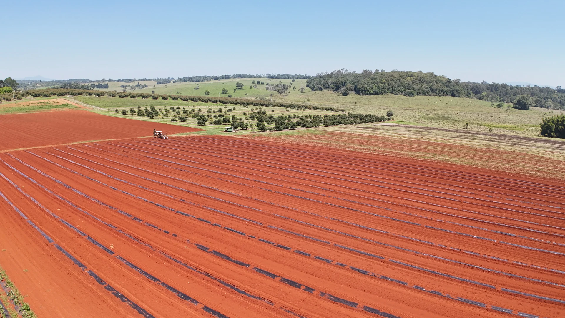 Additional image 21 of 767 Peeramon Road, Peeramon QLD 4885