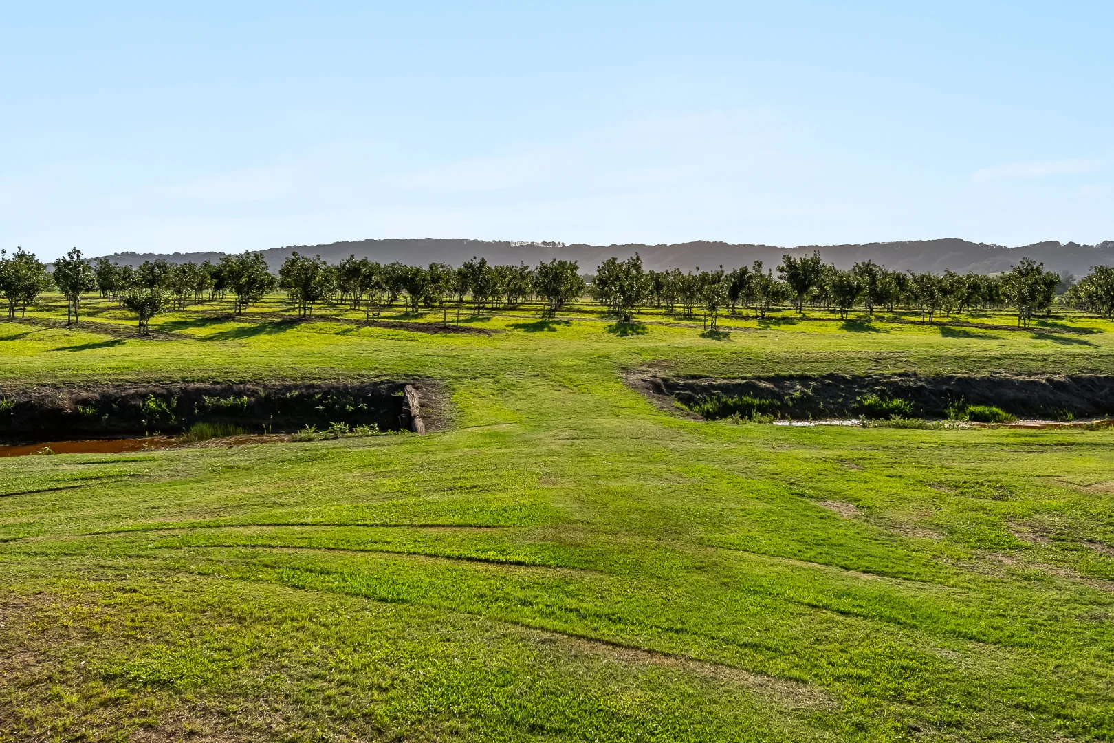 Additional image 14 of 134 Hermans Lane, Pimlico NSW 2478