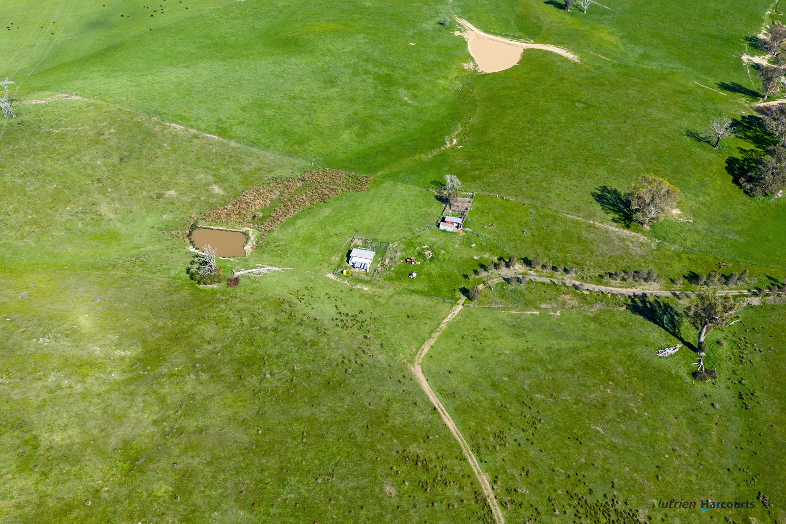 Additional image 9 of 53 Halls Outlet Road, Alexandra VIC 3714