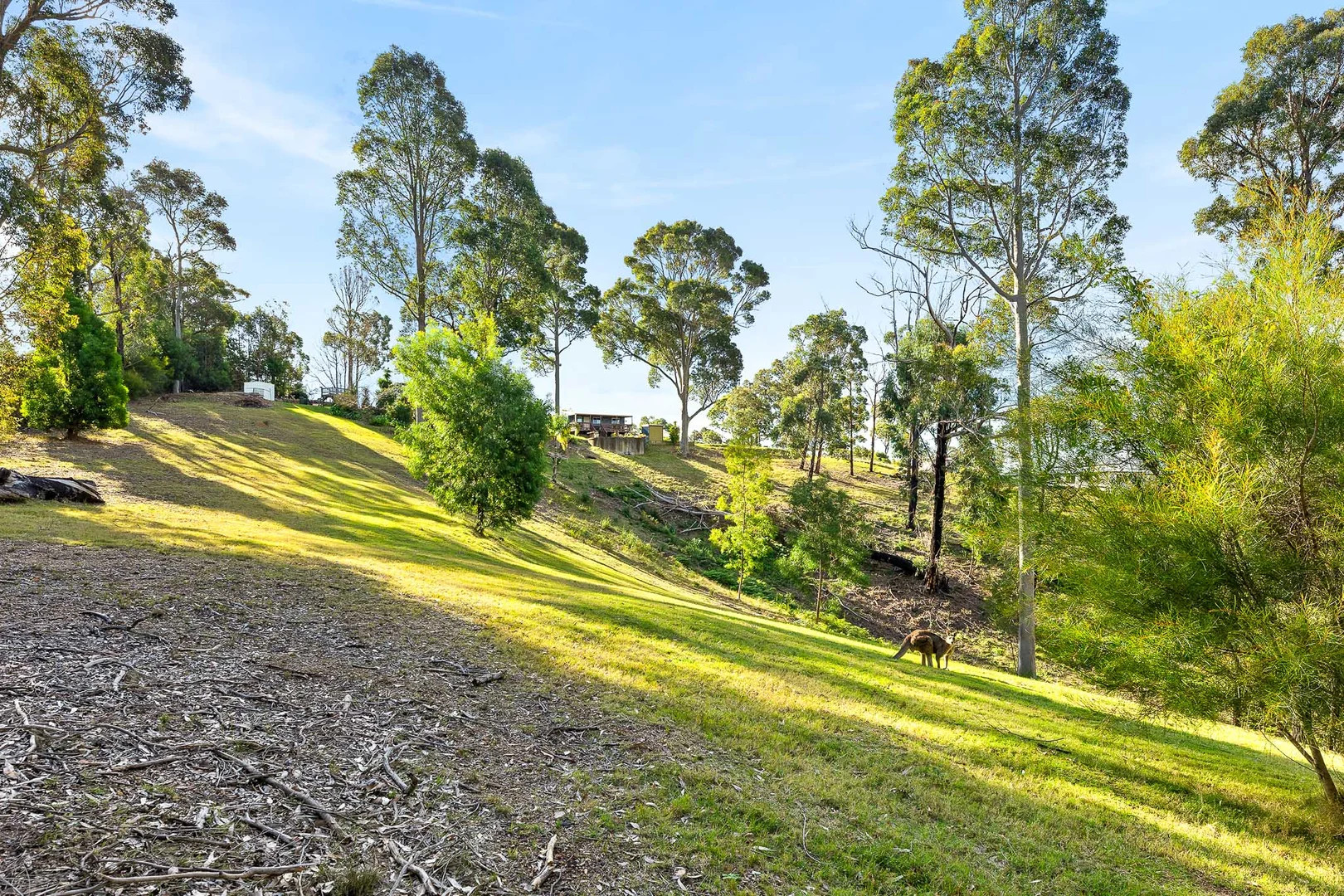 Additional image 24 of 24 Blackbutt Lane, Malua Bay NSW 2536