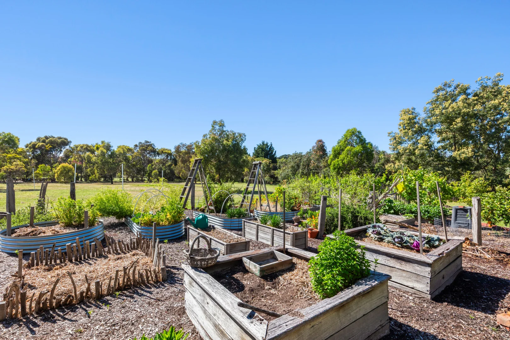 Additional image 33 of 21-29 Grigg Court, Wallington VIC 3222