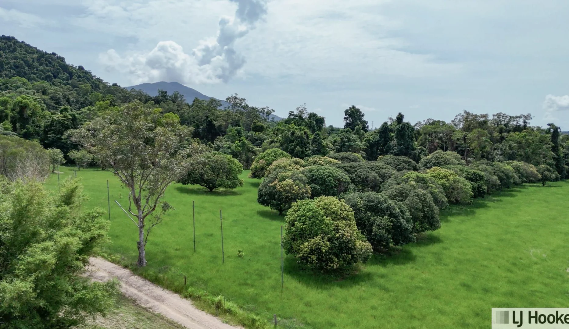 Additional image 19 of 1/214 Tully Gorge Road, Tully QLD 4854