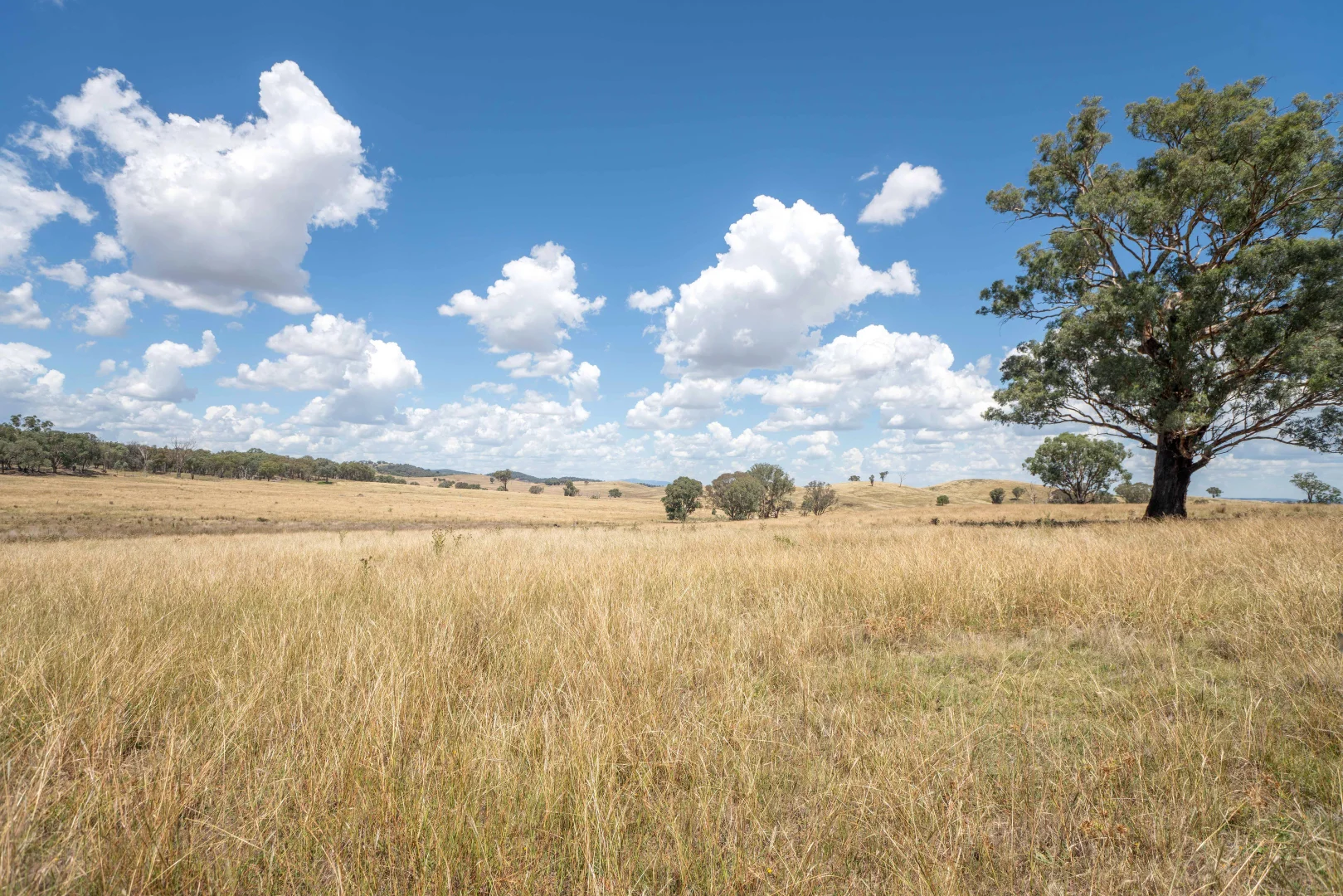 Additional image 15 of 1862 Euchareena Road, Euchareena NSW 2866